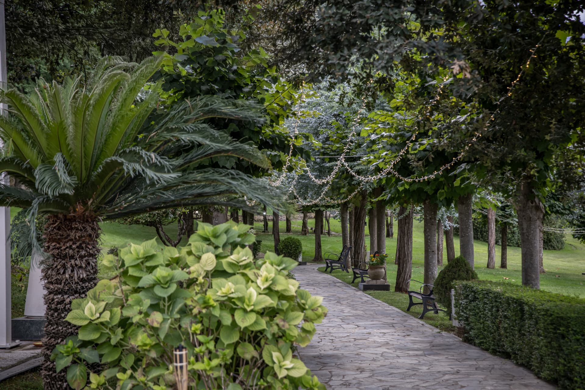 Tree-lined wedding garden decorated with lights